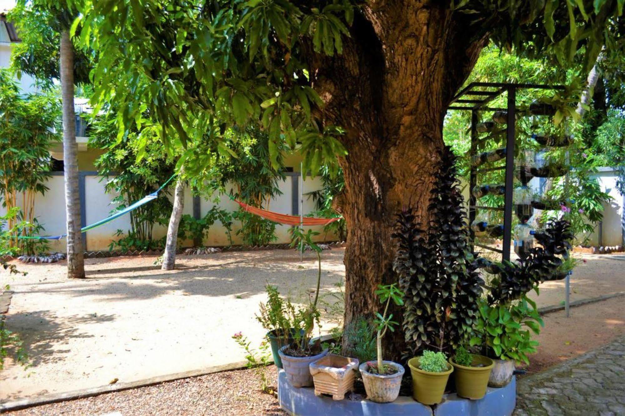 Dambulla City Hostel Kültér fotó